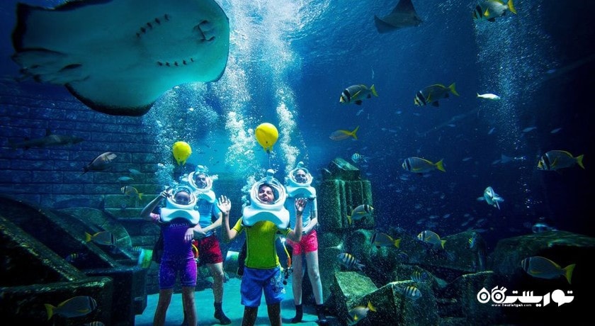 آکواریوم هتل آتلانتیس د پالم